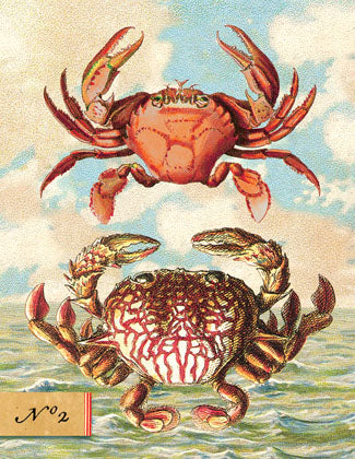 SB503 Single seaside card - Two Crabs
