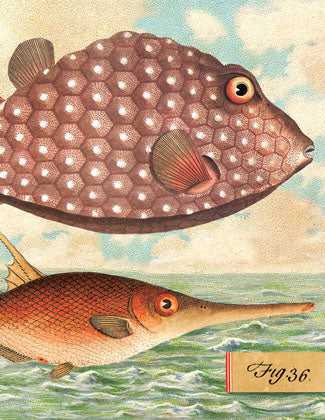 SB507 Single seaside card - Two Fish