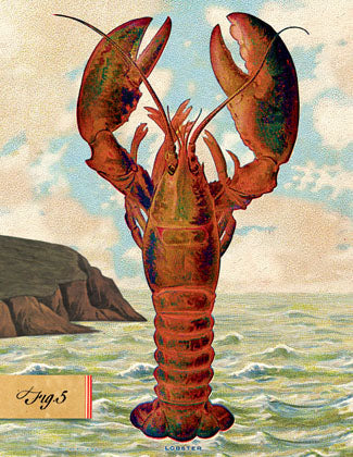 SB508 Single seaside card - Lobster