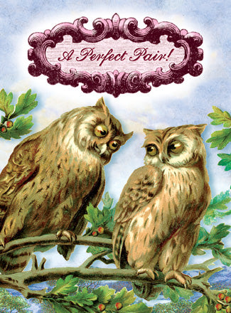 CC192 A Perfect Pair! Owls
