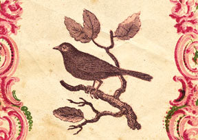 M165 Mini card - Robin on branch