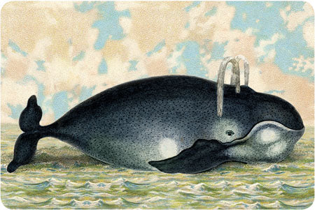 P102 Seaside postcards - Whale