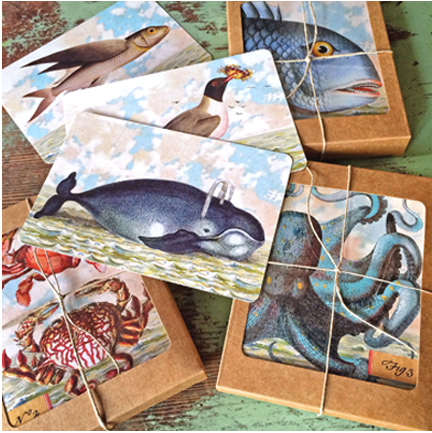 B504 Boxed seaside cards - Puffer Fish – Shop Cartolina