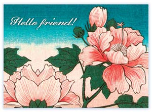 B110 Boxed cards - Hello Friend!