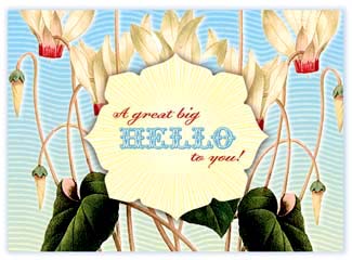 B111 Boxed cards - A Great Big Hello To You!