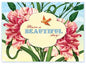 B114 Boxed cards - Have A Beautiful Day!