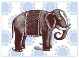 B118 Boxed cards - Elephant