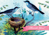 B135 Boxed cards - Thank You! - Robins