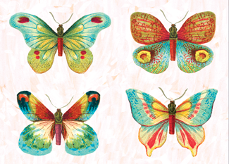B127 Boxed cards - Butterflies
