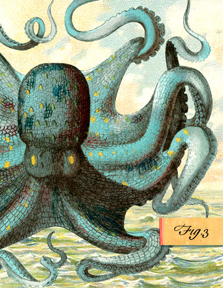 SB501 Single seaside card - Octopus