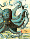 SB501 Single seaside card - Octopus