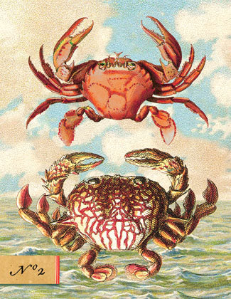 SB503 Single seaside card - Two Crabs