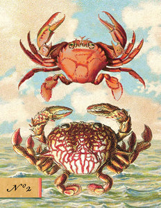 B503 Boxed seaside cards - Two Crabs