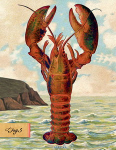 SB508 Single seaside card  - Lobster
