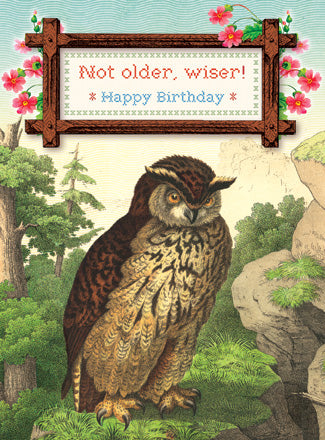 CC184 Not Older, Wiser! Happy Birthday Owl