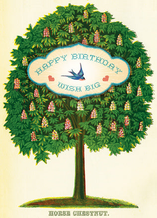 CC233 Happy Birthday Wish Big Chestnut Tree