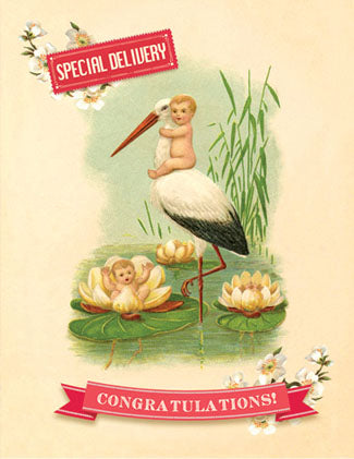 CC625 Special Delivery Congratulations!