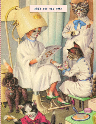 CC667 Rock the cat spa.