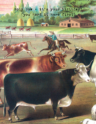 CC669 Holy cow, it's your birthday - you herd it here first!
