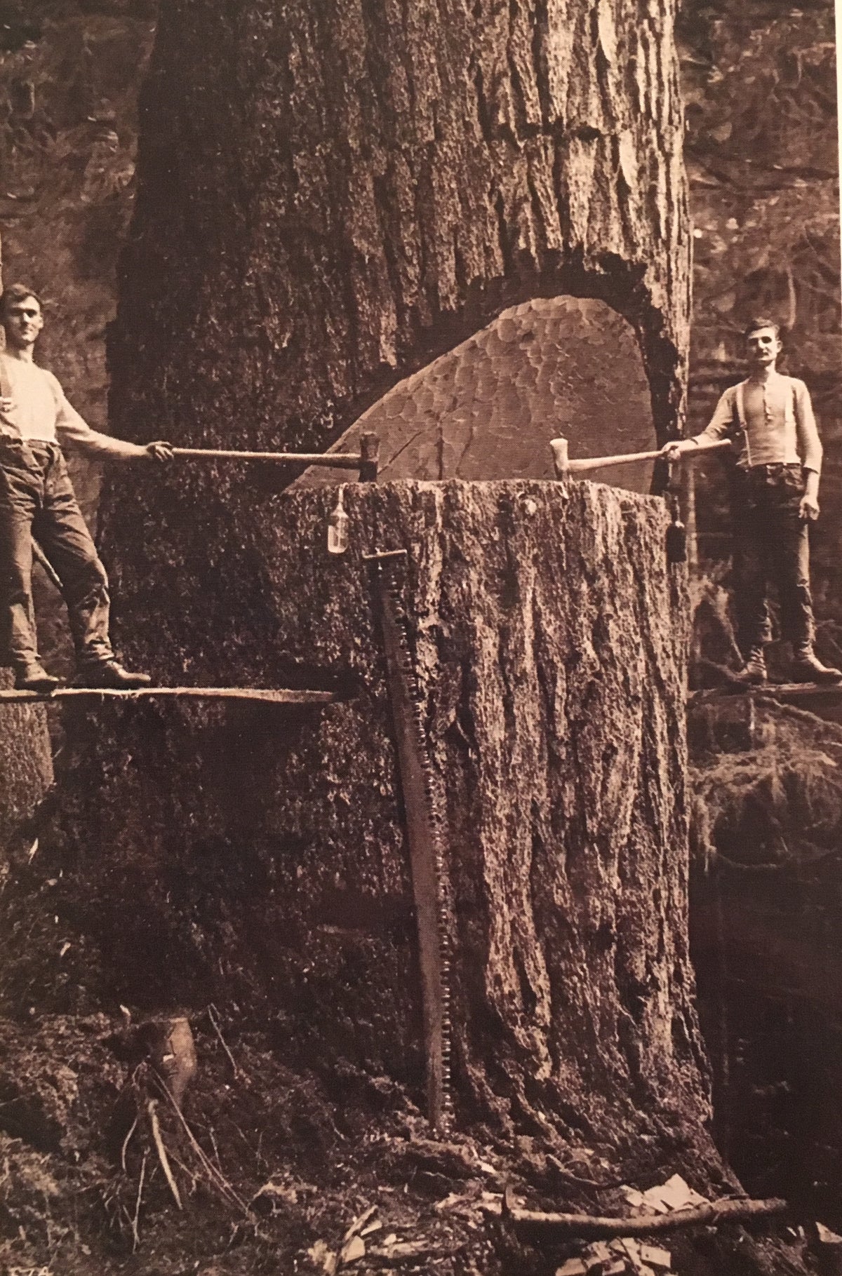 KP077 Lumber Jacks