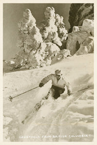 KP048 One skier