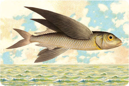 P105 Seaside postcards - Flying Fish