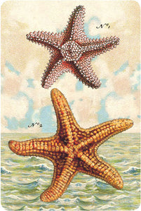 P108 Seaside postcards - Starfish