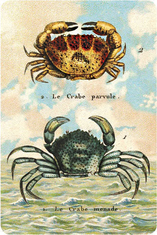 P110 Seaside postcards - Two Crabs