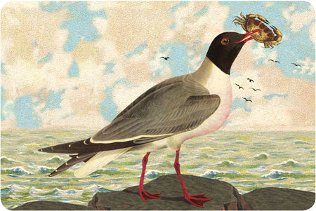 P112 Seaside postcards - Seagull