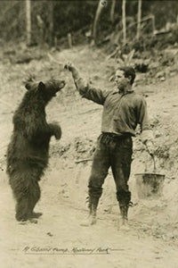 KP011 Don't feed the bears!