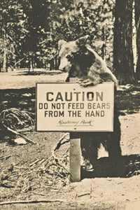 KP019 Caution!