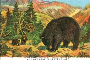 KP021 Can't bear to leave Canada!