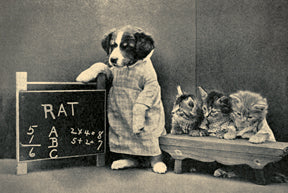 KP067 Teacher's Pets